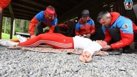 HsILUSTRAČNÍ OBRÁZEK-Bodnutí hmyzem-Jizerky2